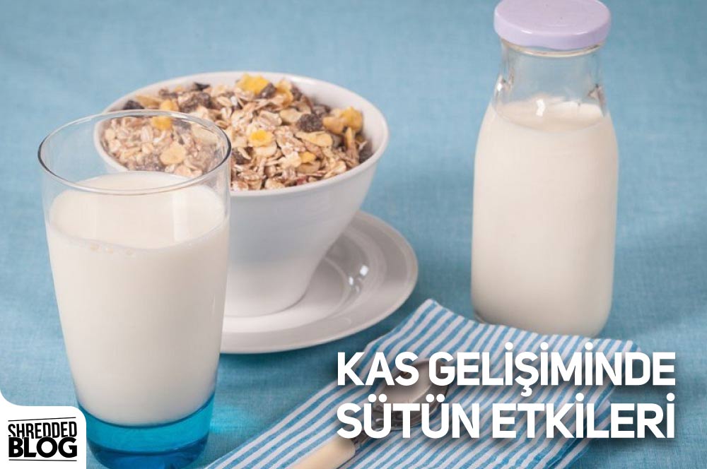 Kas Gelişiminde Sütün Etkileri