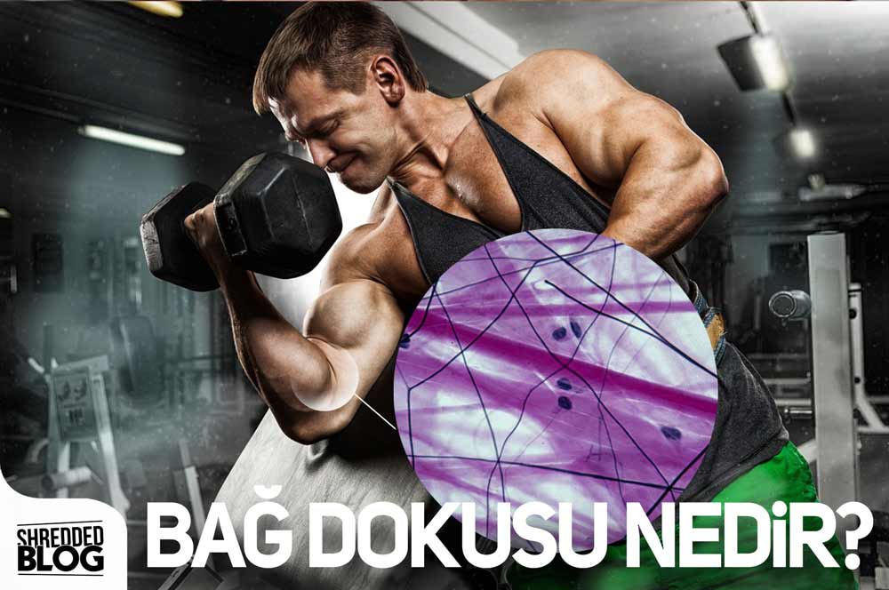 Bağ Dokusu Nedir?