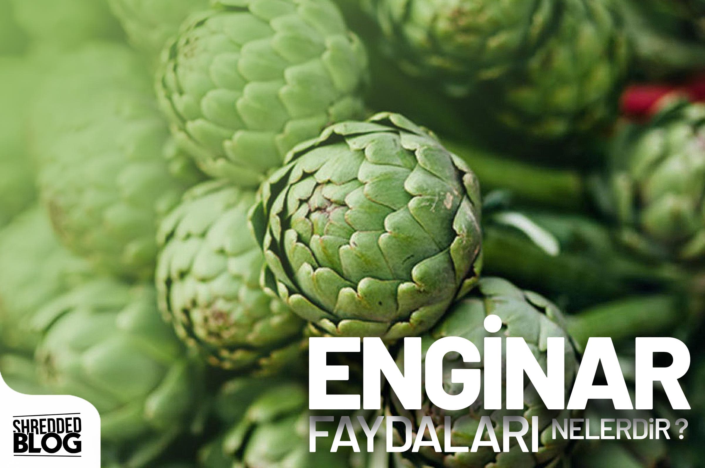 Karaciğer Dostu Enginar