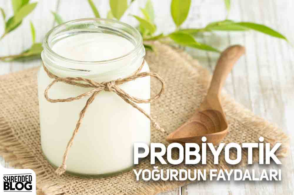Probiyotik Yoğurdun Faydaları