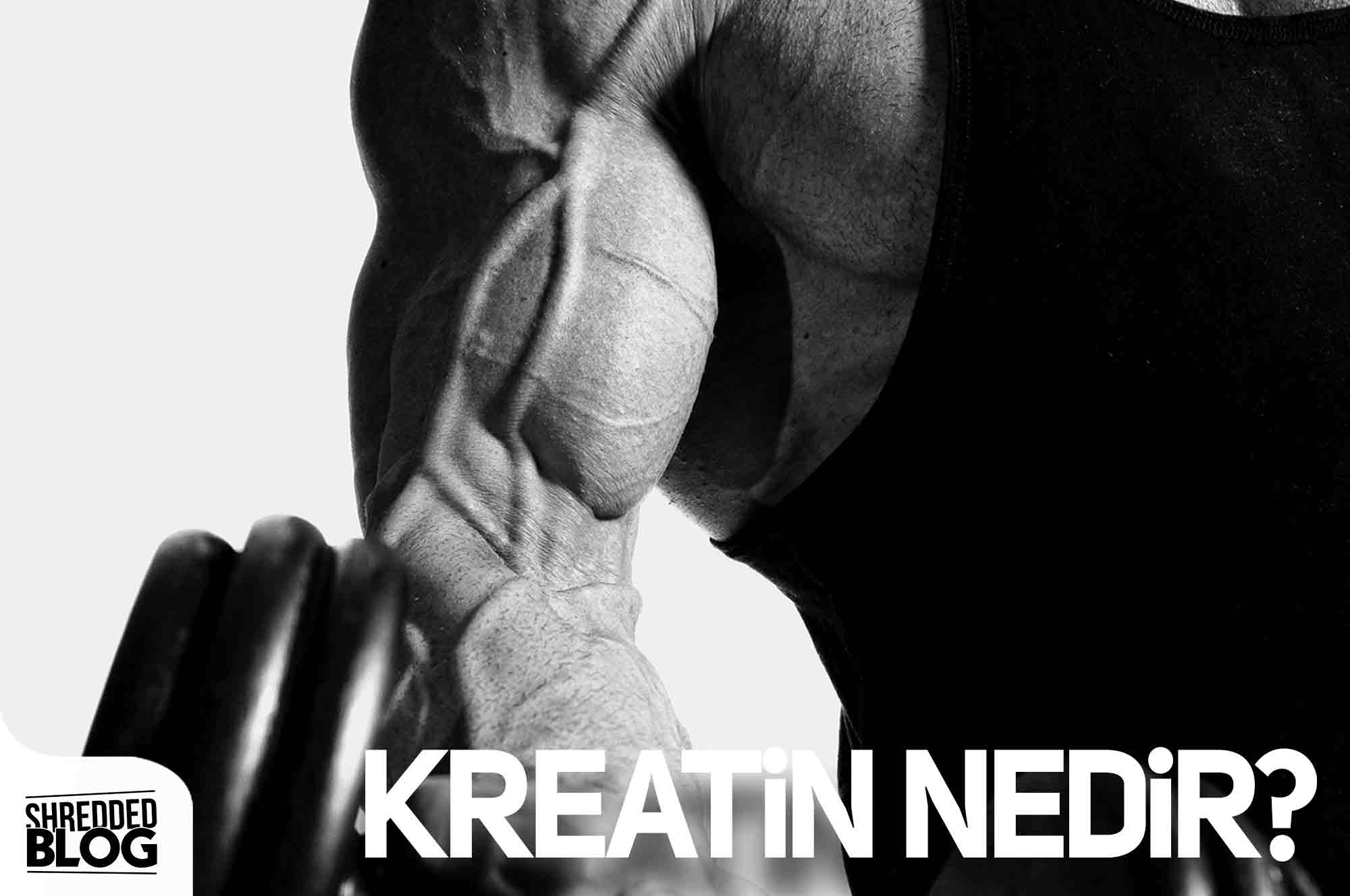 Kreatin Nedir?
