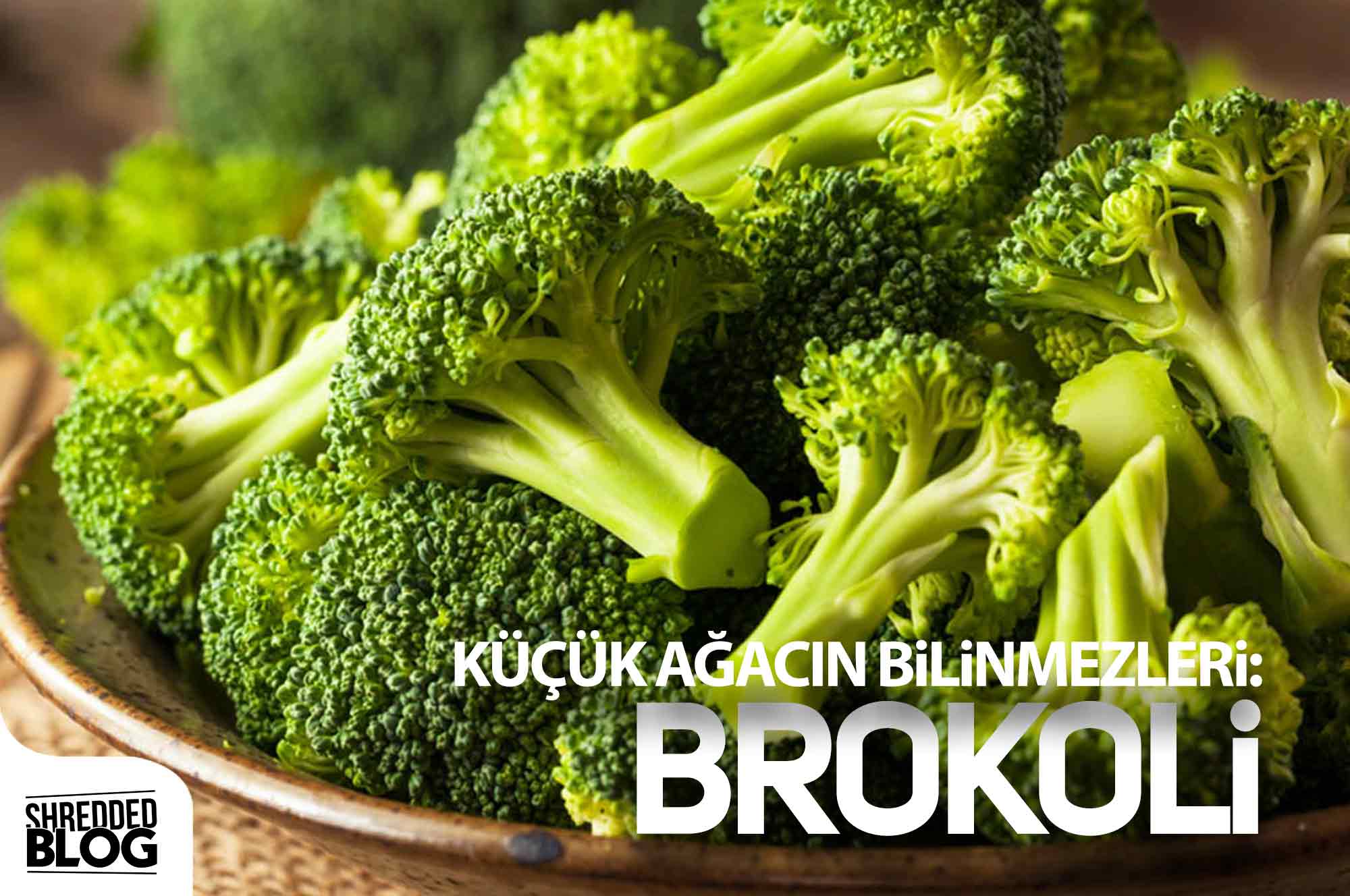 Küçük Ağacın Bilinmezleri: Brokoli
