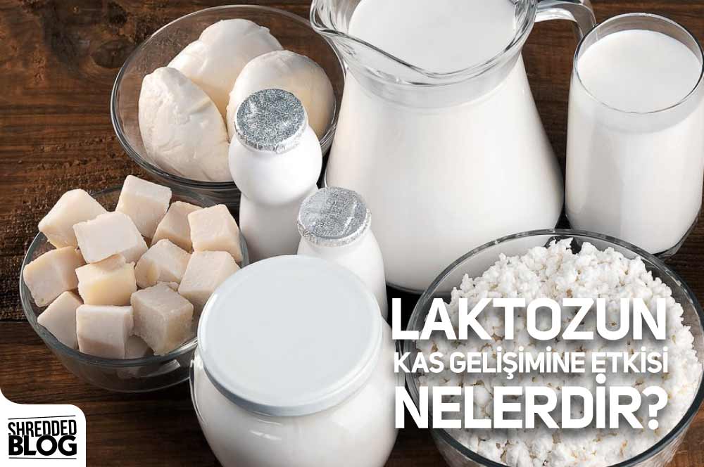 Laktozun Kas Gelişimine Etkisi Nelerdir?