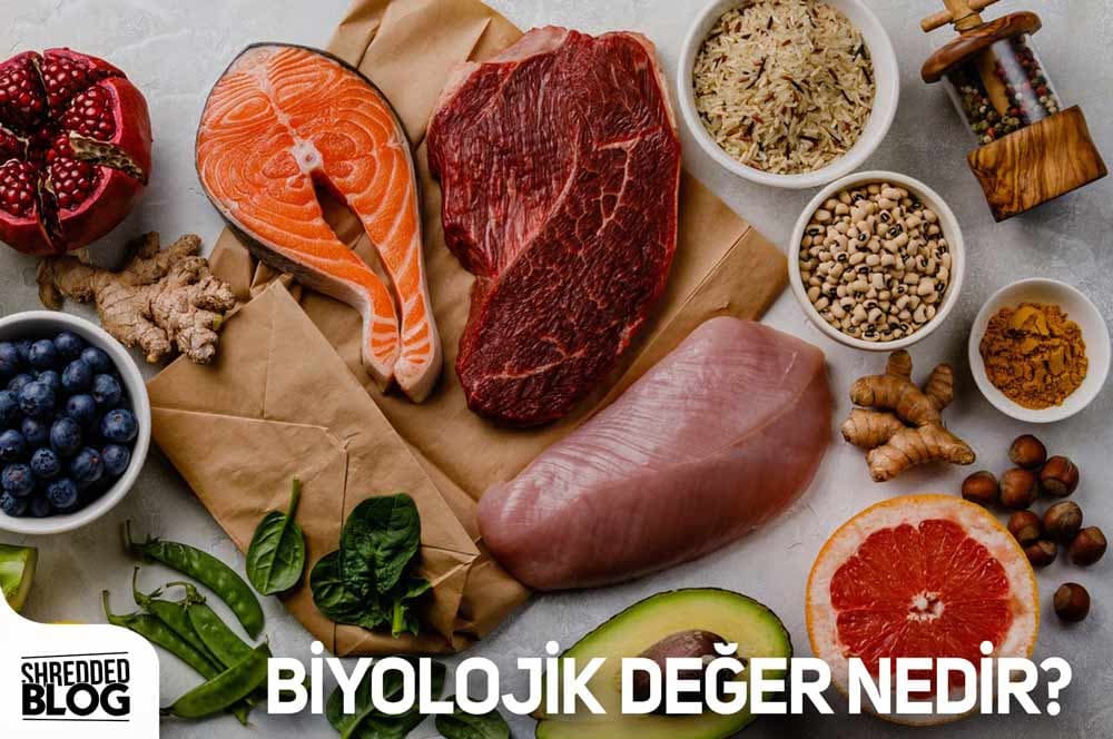 Biyolojik Değer Nedir?