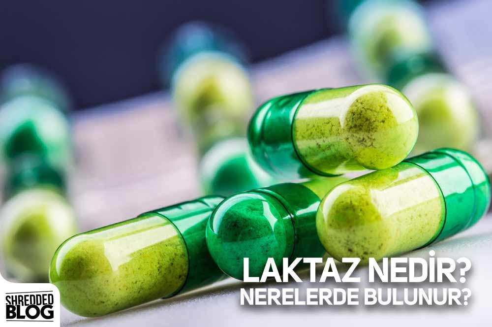 Laktaz Nedir? Nerelerde Bulunur?