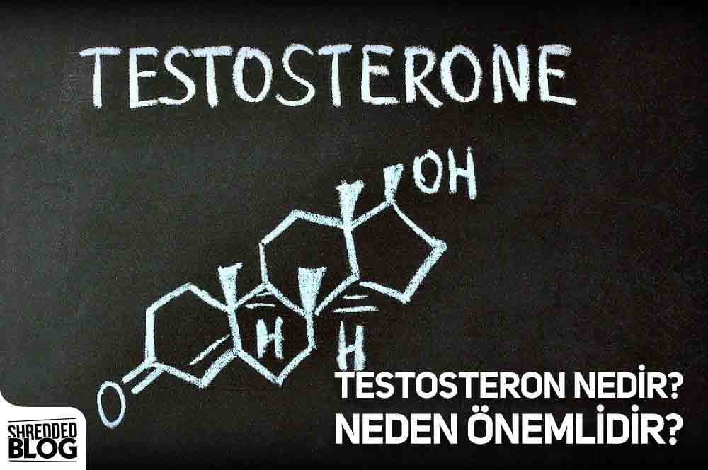 Testosteron Nedir? Neden Önemlidir?