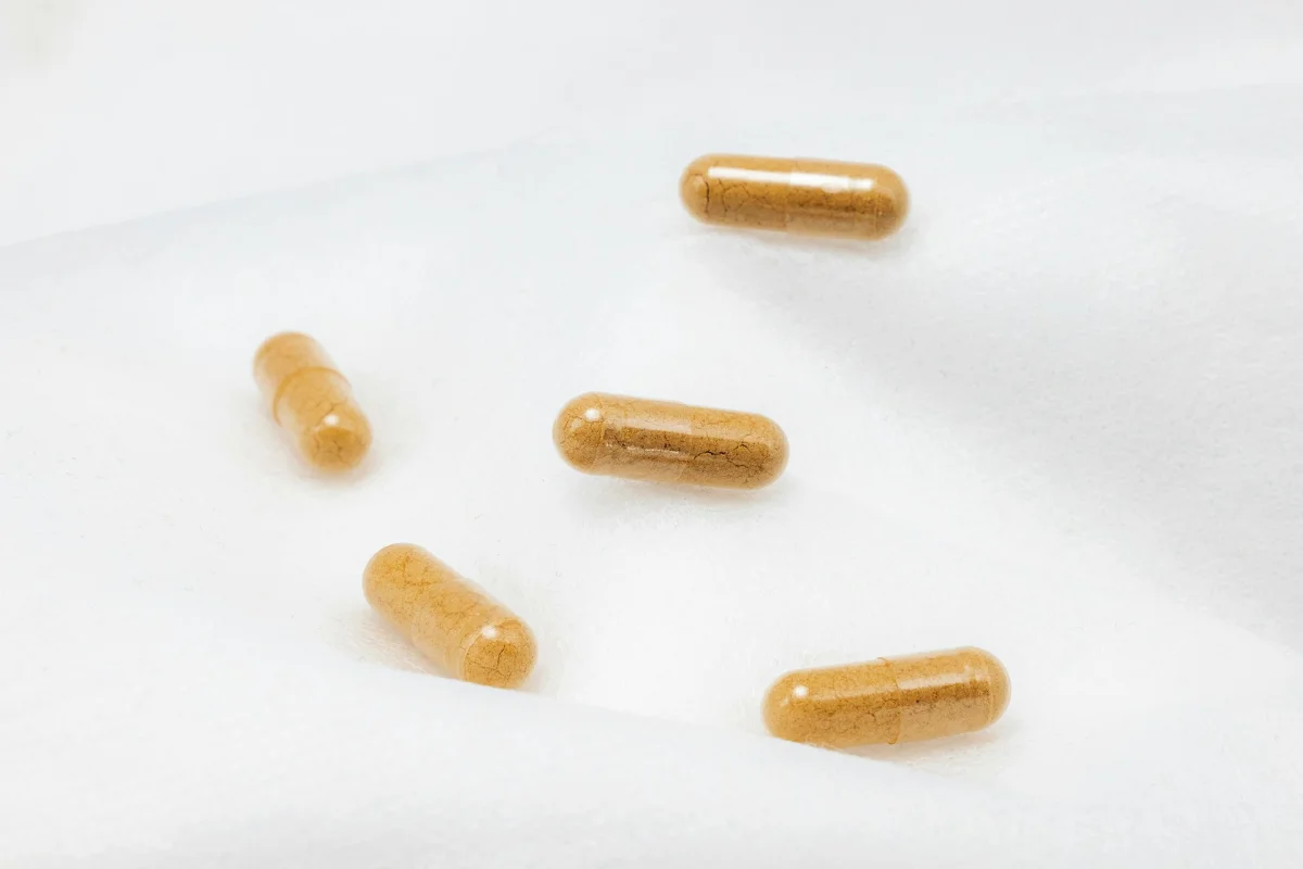Probiotika: Wirkung, Nutzen und wissenschaftliche Erkenntnisse