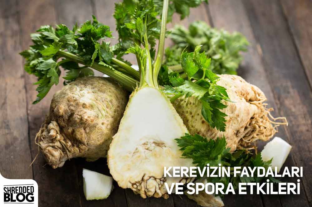 Kerevizin Faydaları Ve Spora Etkileri