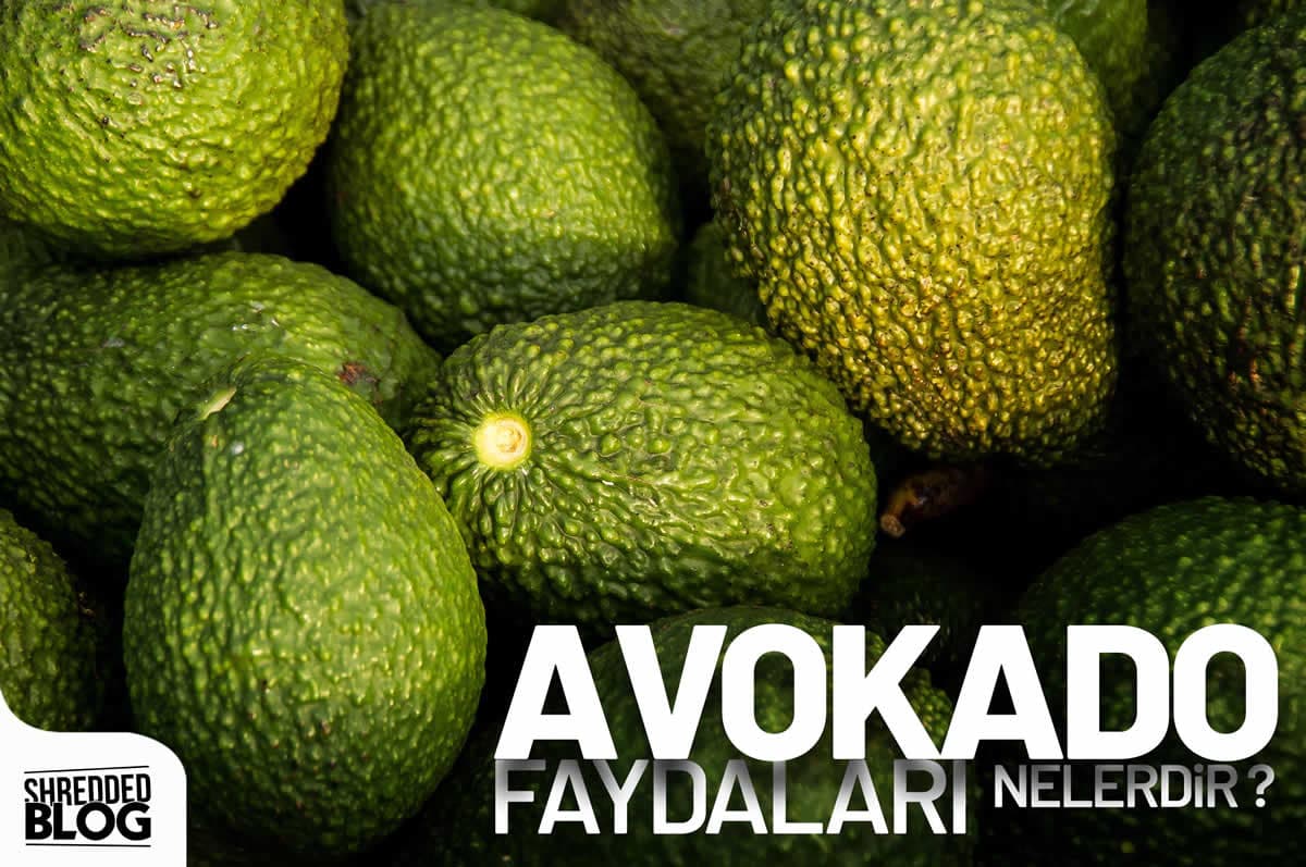Avokadonun Faydaları
