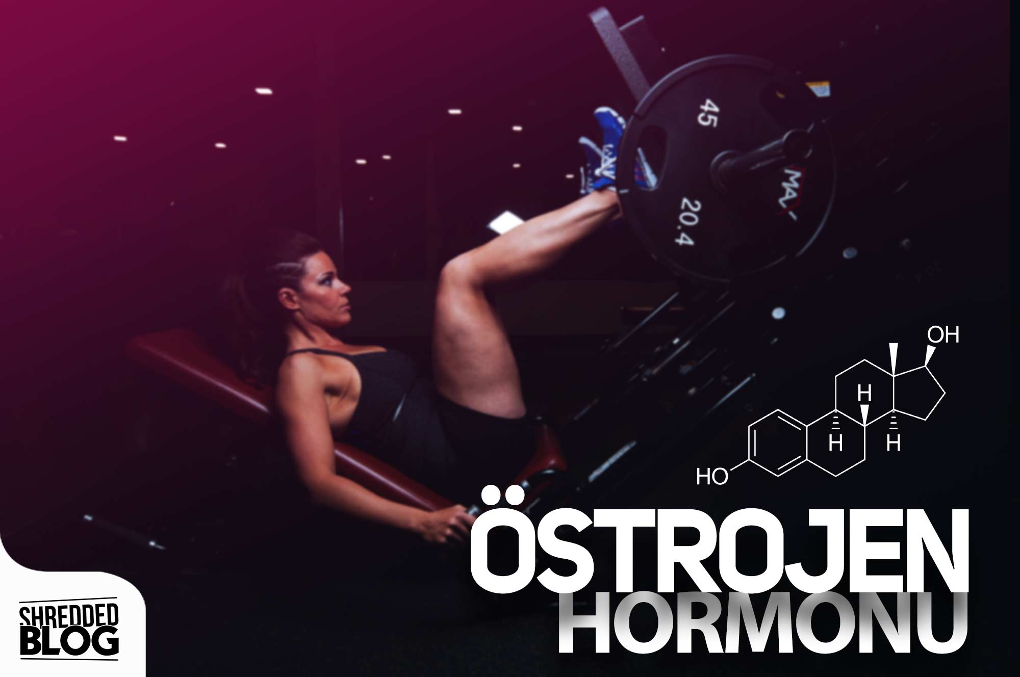 Östrojen Hormonu