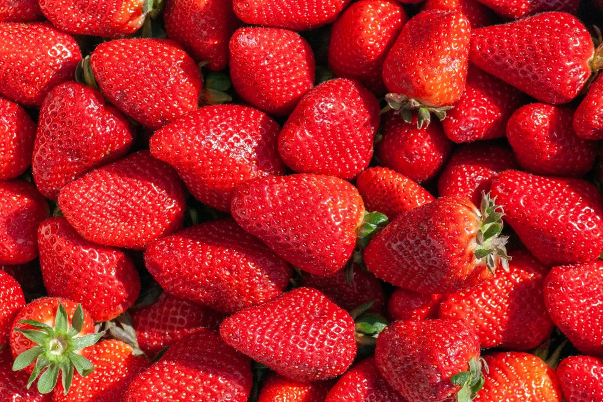 Erdbeeren versüßen den Sommer – und stärken deine Fitness!