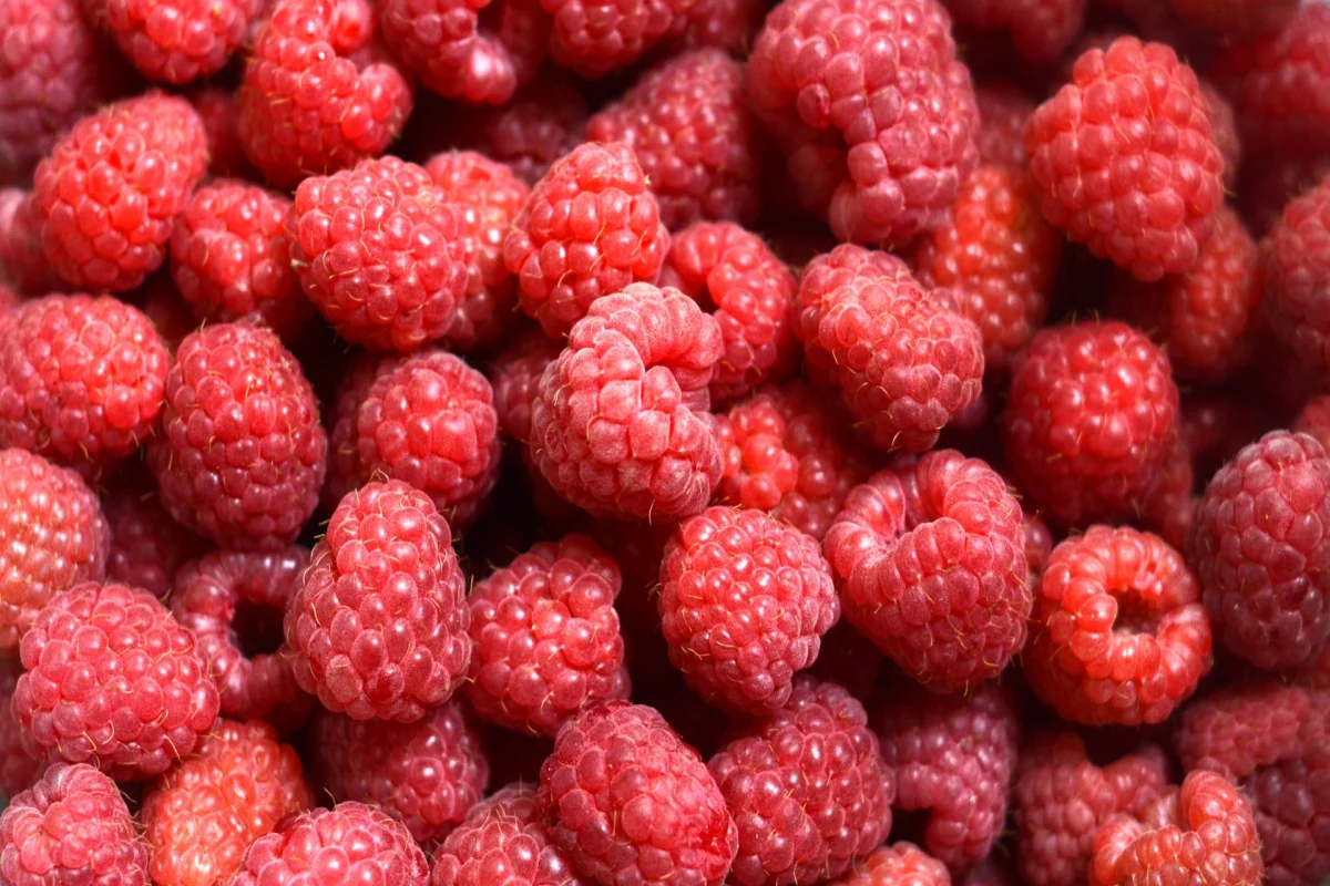 Raspberries: The Underrated Superfood for Athletes