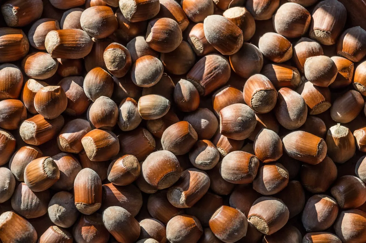 nuts