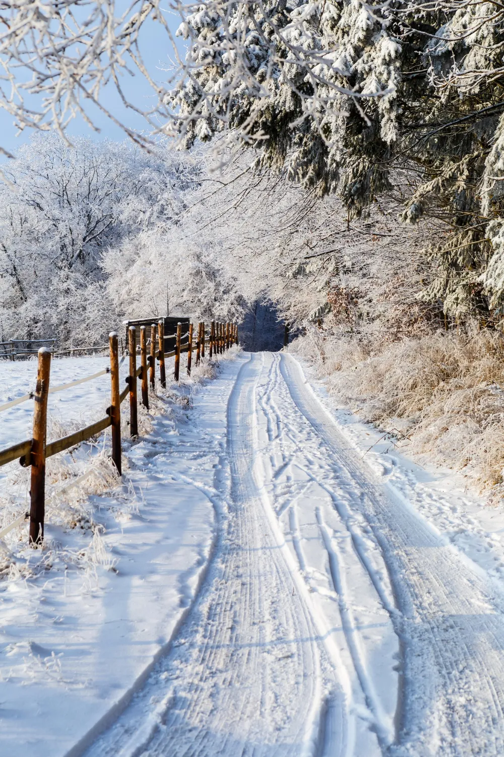 inverno