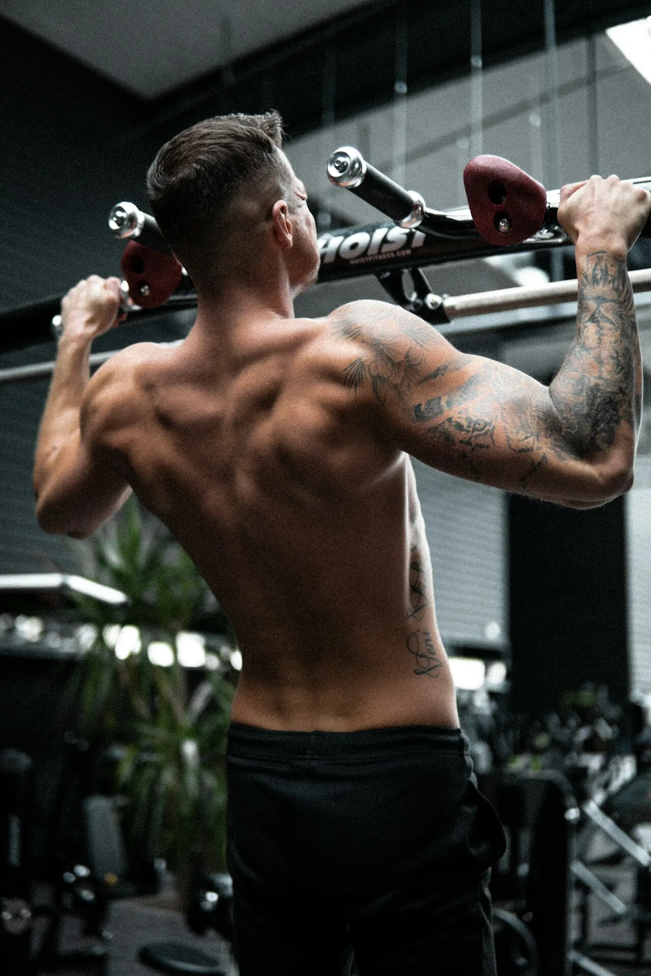 fitness
