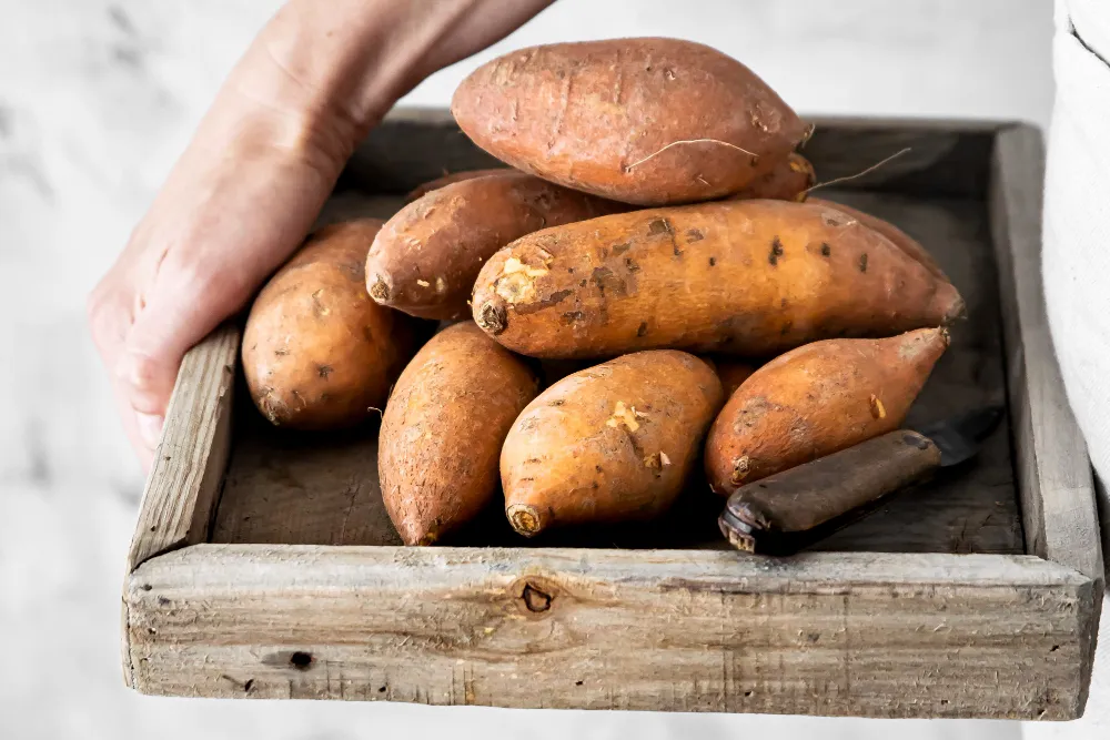 Sweet Potato