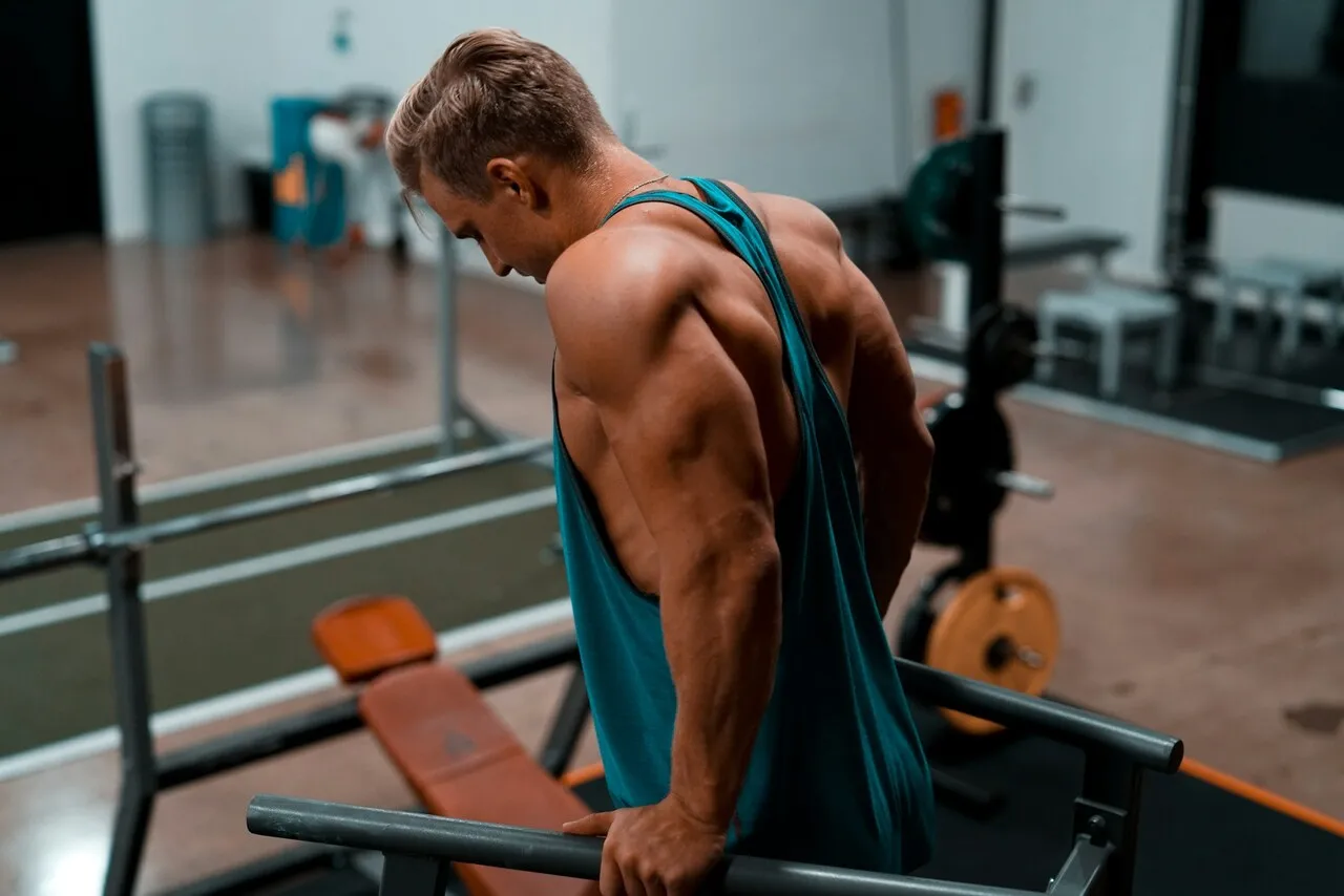 dips