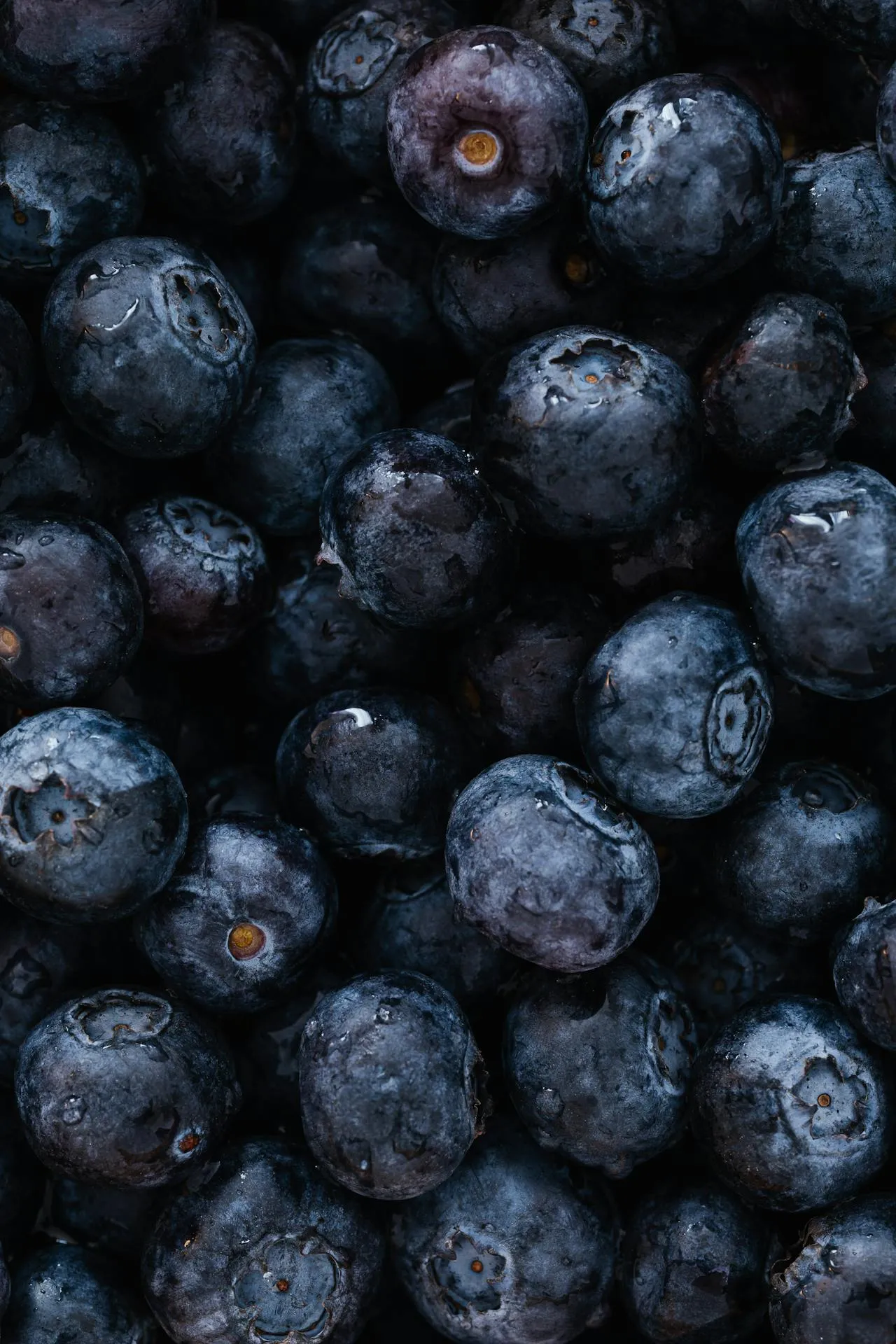 blueberry
