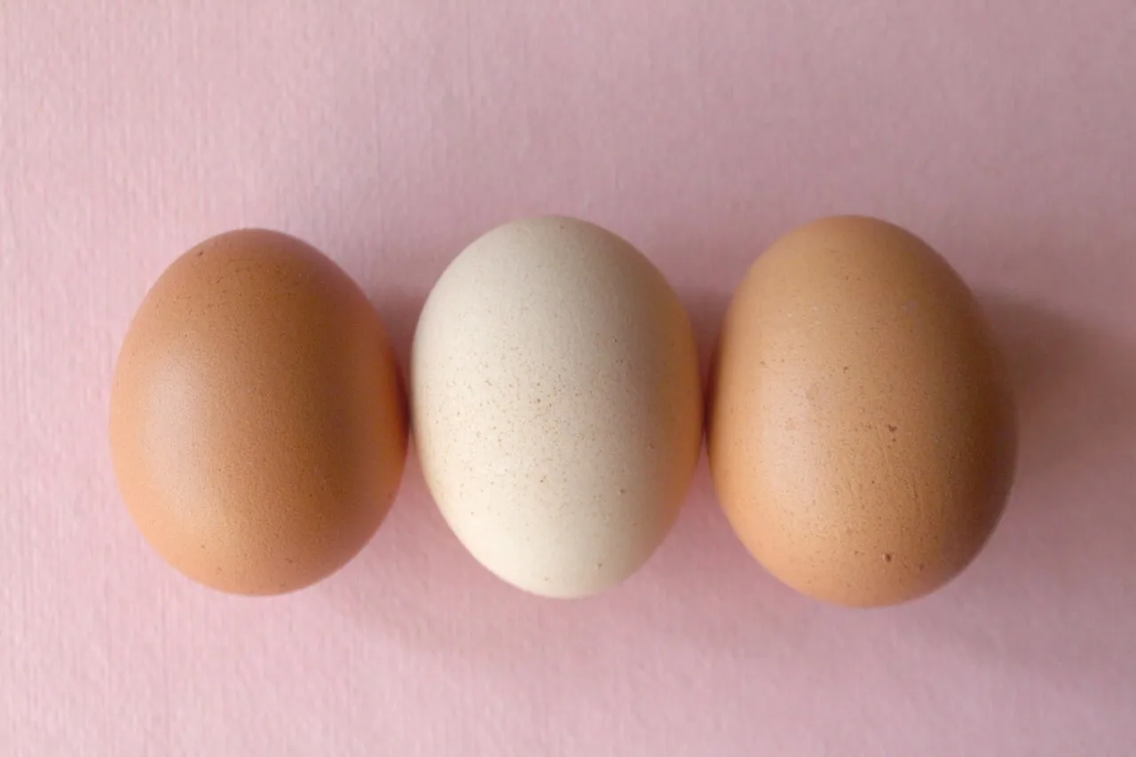 Eggs