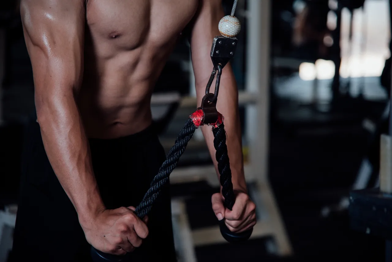 triceps