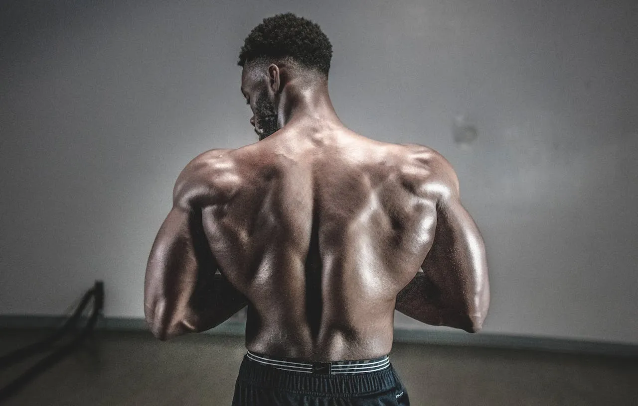 muscle