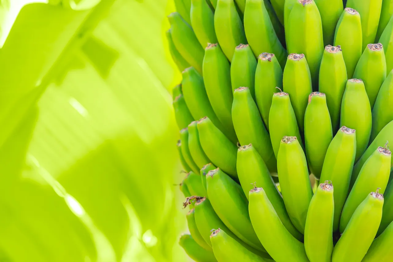 banana