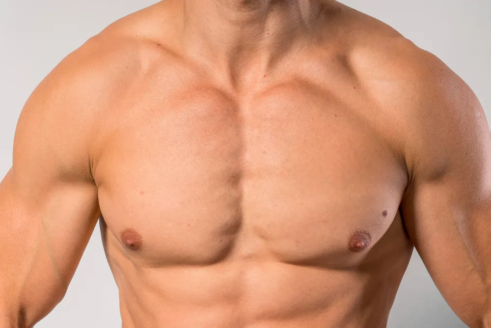 chest