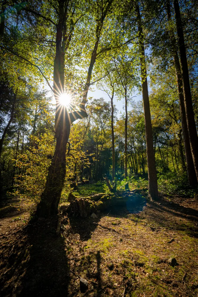 natur