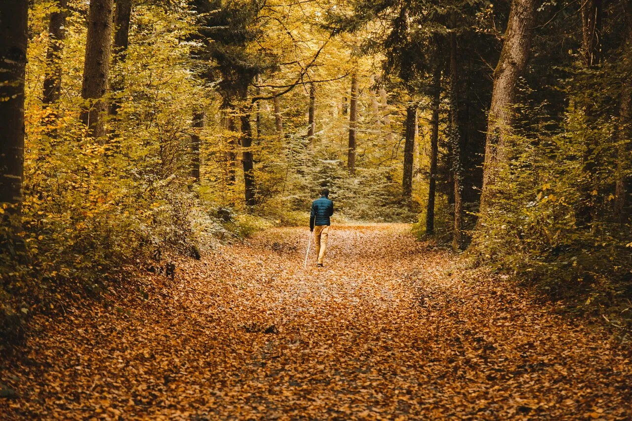 walk