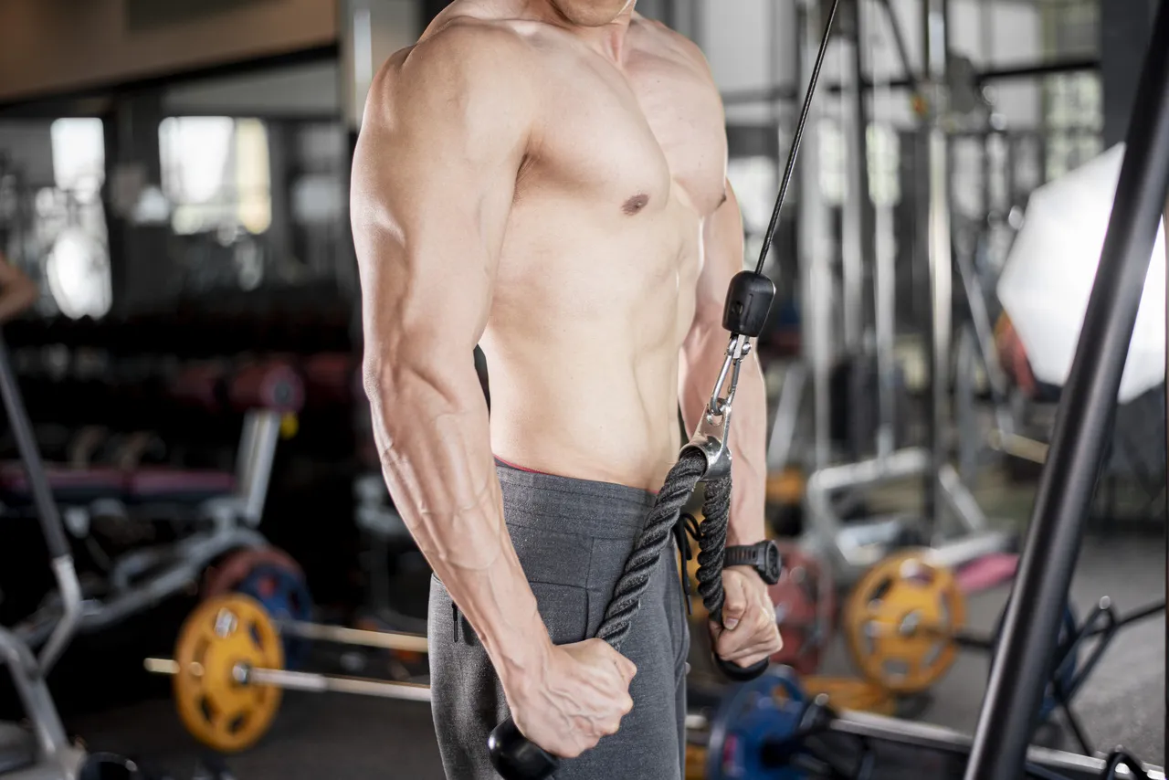 triceps