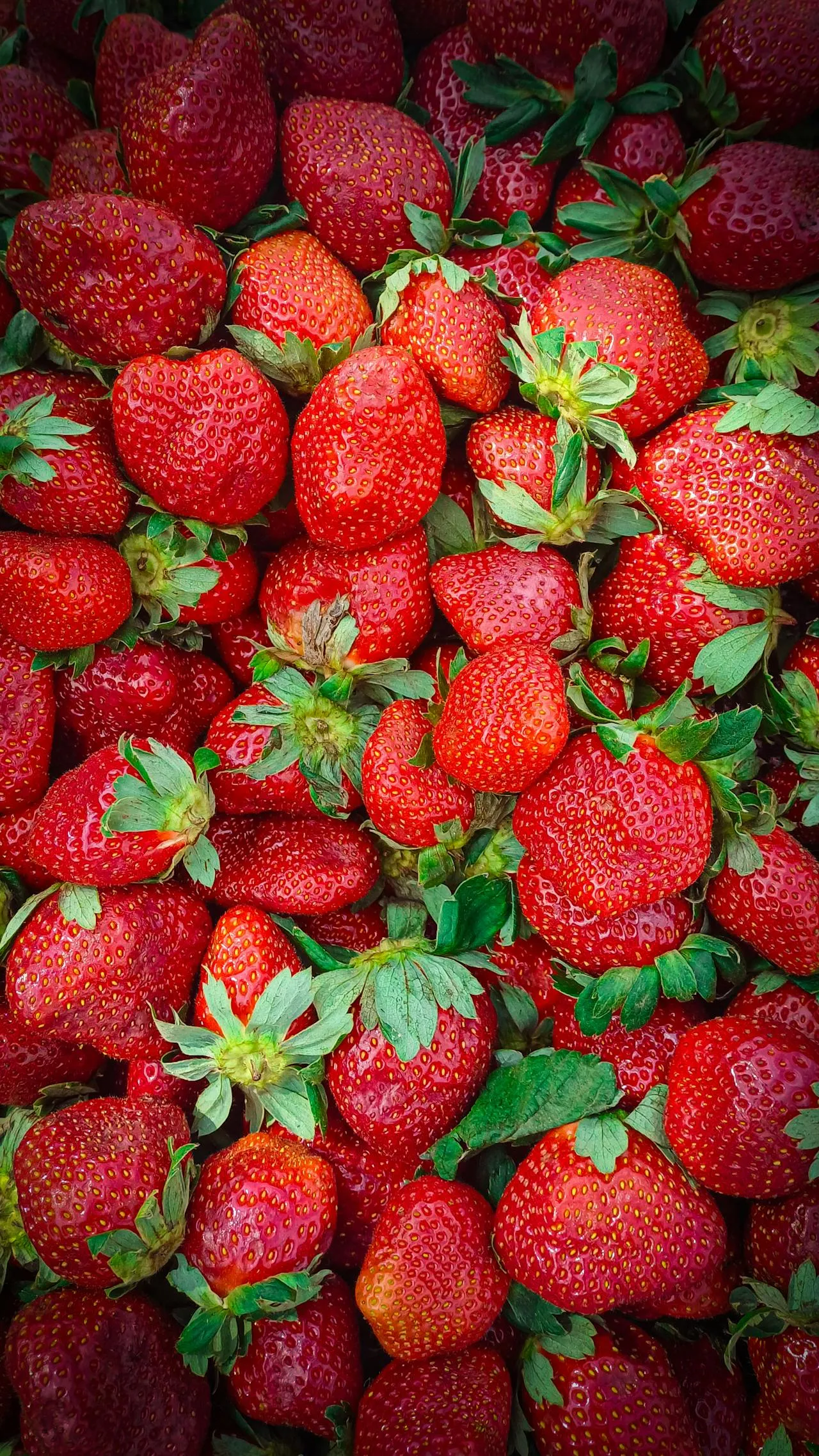 strawberry