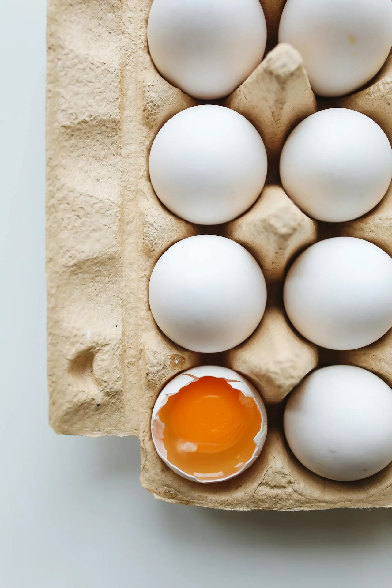 eggs