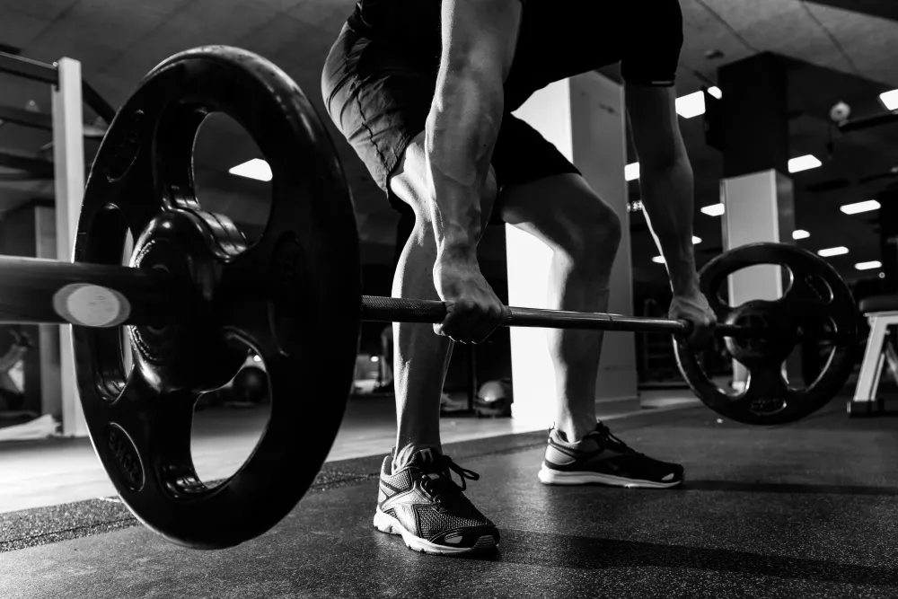 fitness