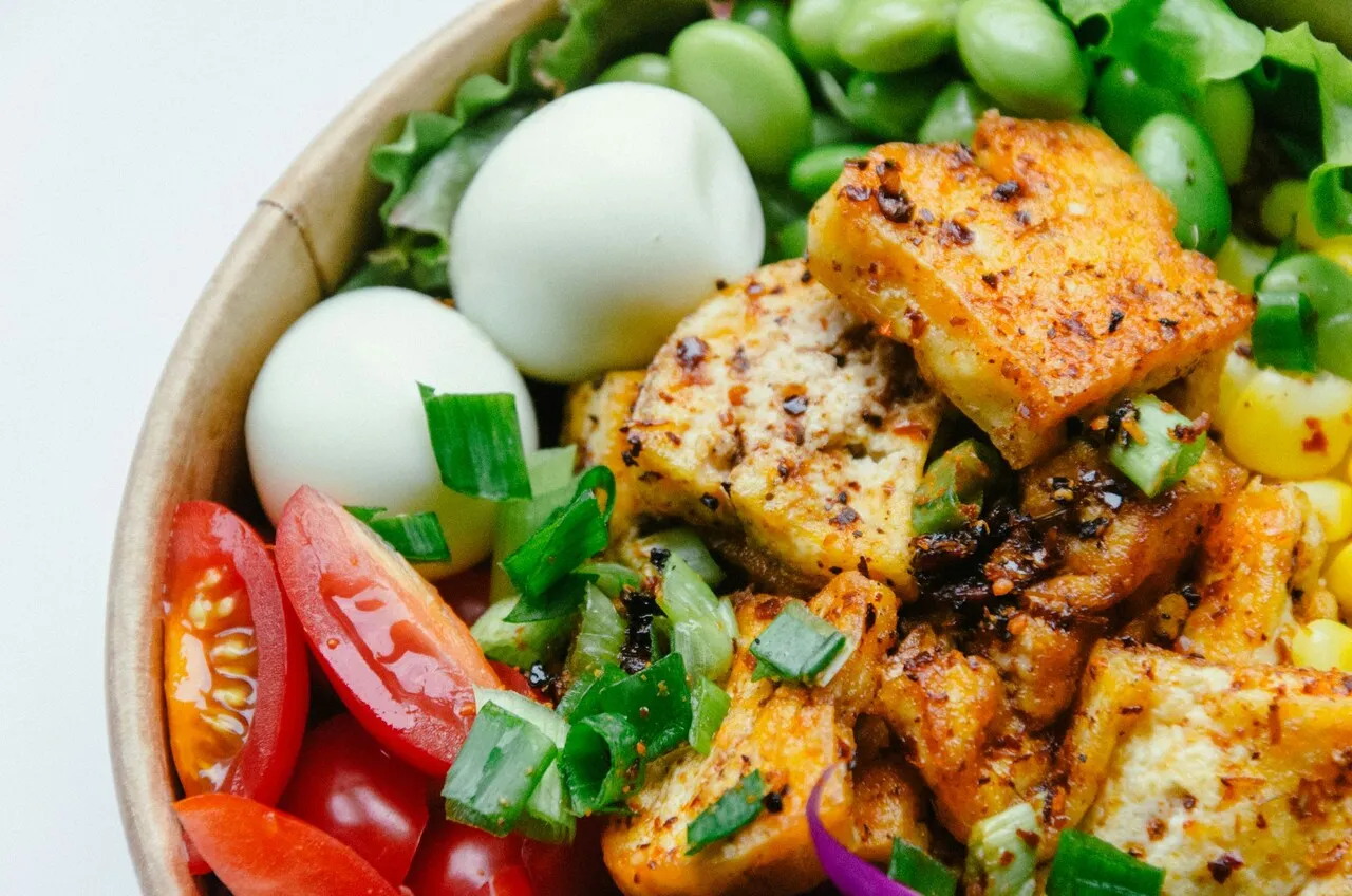 protein meal