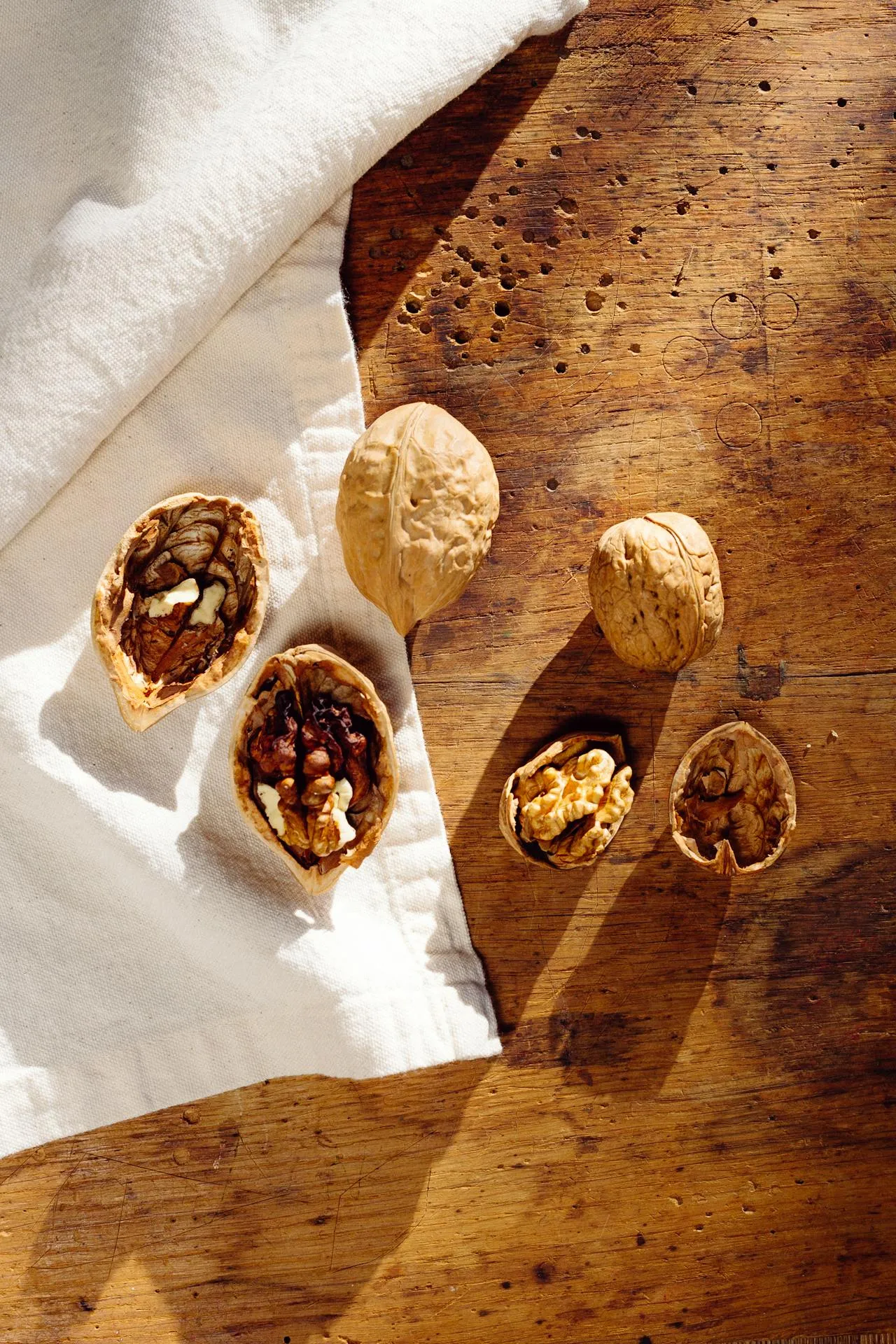 walnut