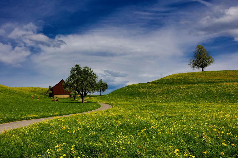 landschaft