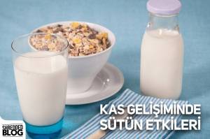 Kas Gelişiminde Sütün Etkileri Kas Gelişiminde Sütün Etkileri
