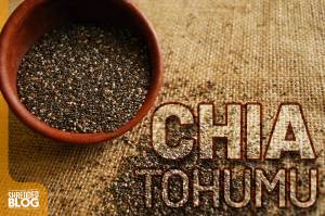 Chia Tohumunun Faydaları Nelerdir? Chia Tohumunun Faydaları Nelerdir?