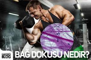 Bağ Dokusu Nedir? Bağ Dokusu Nedir?