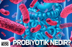 Probiyotik Nedir? Probiyotik Nedir?