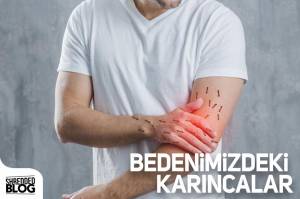 Bedenimizdeki Karıncalar