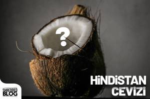 Hindistan Cevizinin Faydaları