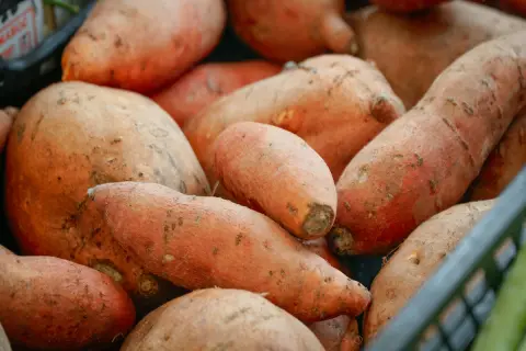 Sweet potatoes – the underrated powerhouse tuber for fitness, muscle growth, and health