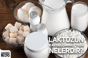 Laktozun Kas Gelişimine Etkisi Nelerdir? Laktozun Kas Gelişimine Etkisi Nelerdir?