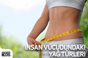 İnsan Vücudundaki Yağ Türleri
