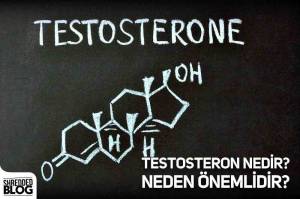 Testosteron Nedir? Neden Önemlidir? Testosteron Nedir? Neden Önemlidir?