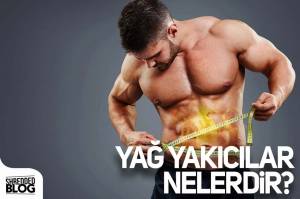 Yağ Yakıcılar Yağ Yakıcılar
