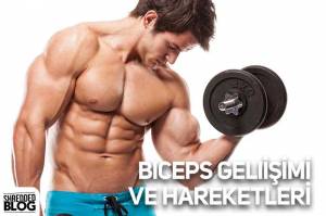 Biceps Gelişimi ve Hareketleri