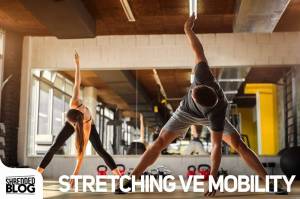 Stretching ve Mobility Stretching ve Mobility
