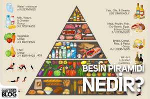 Besin Piramidi Nedir? Besin Piramidi Nedir?
